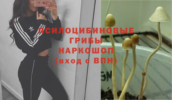 таблы Алзамай