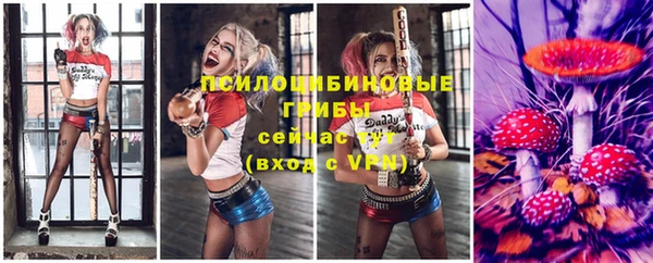 таблы Алзамай