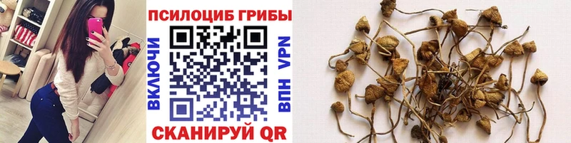 mega зеркало  Биробиджан  Галлюциногенные грибы Magic Shrooms 