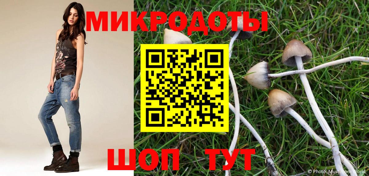 Галлюциногенные грибы ЛСД Биробиджан