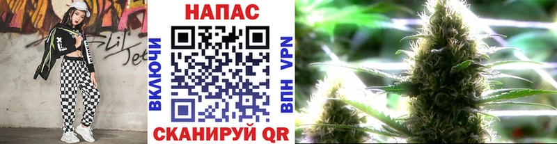 Шишки марихуана OG Kush Биробиджан